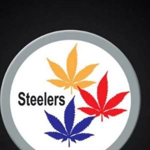 Meet your Posher, Noe